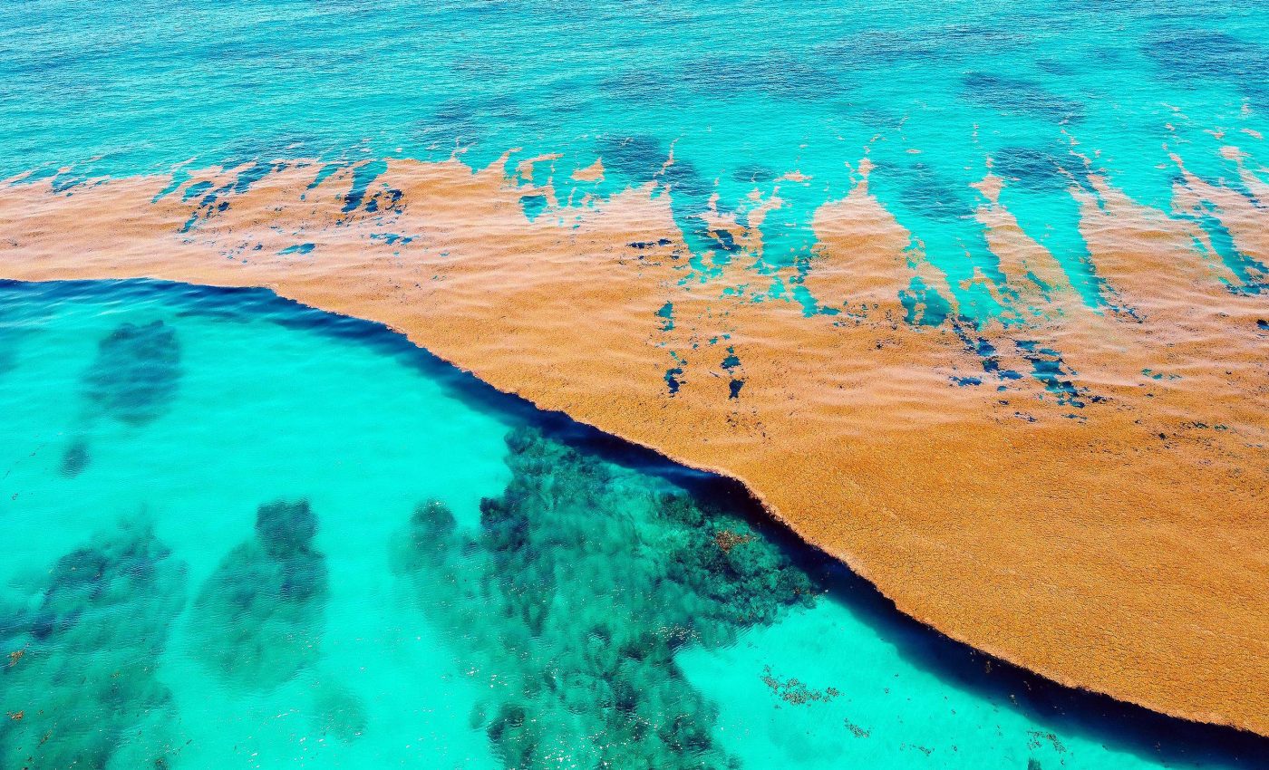 There is one sea on Earth that touches no land, and that is because it has no shore