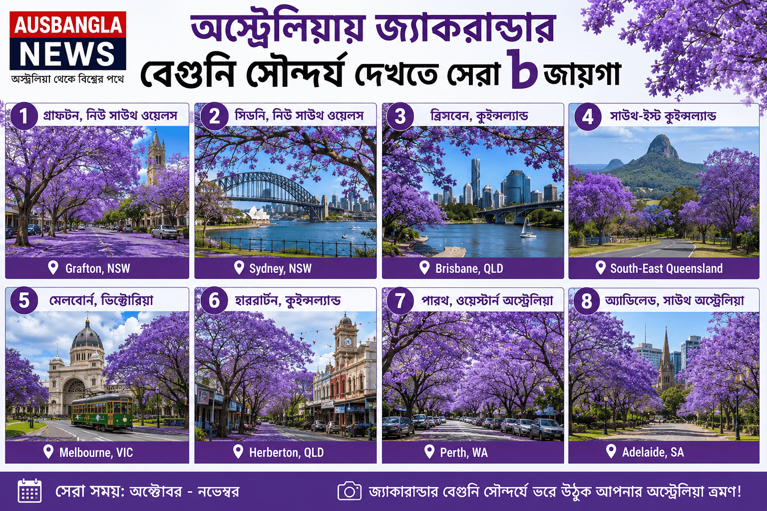 অস্ট্রেলিয়ায় জ্যাকারান্ডার বেগুনি সৌন্দর্য দেখতে সেরা ৮ জায়গা